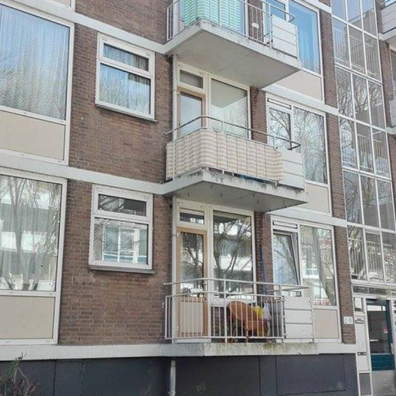 Mieszkanie w Holandii w bloku plus praca