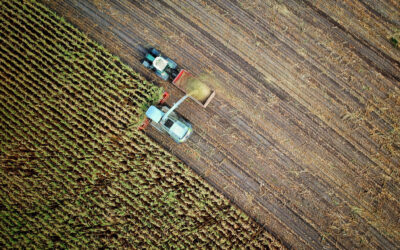 Rolnictwo w Holandii